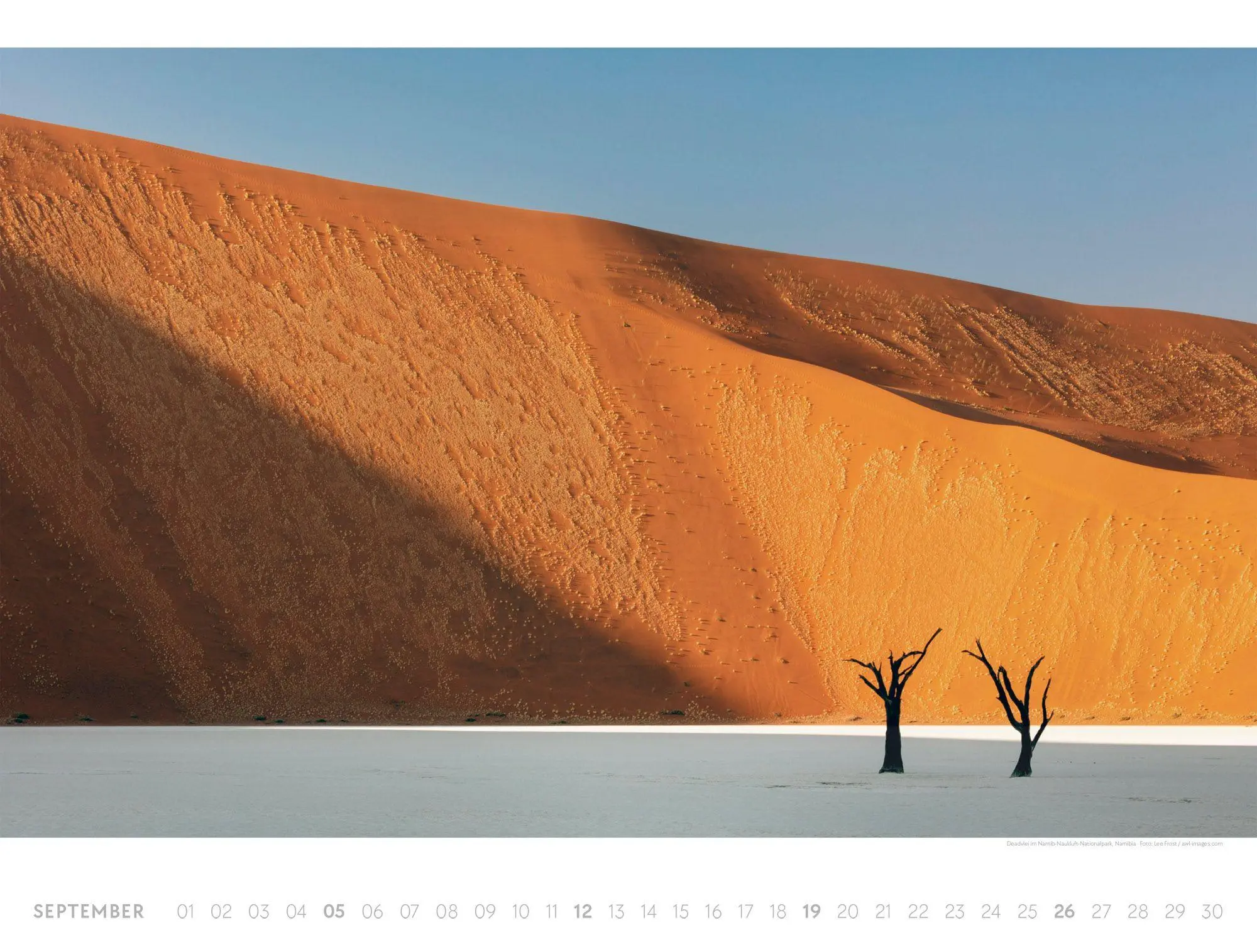 Bild: 9783838427515 | Freiraum Kalender 2027 | Ackermann Kunstverlag GmbH | Kalender | 14 S.