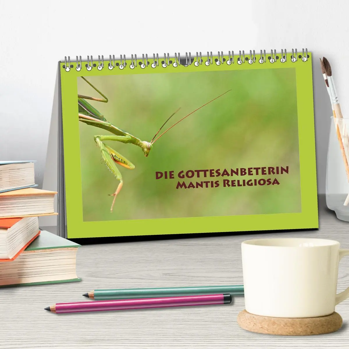 Bild: 9783457717615 | Die Gottesanbeterin Mantis Religiosa (Tischkalender 2026 DIN A5...