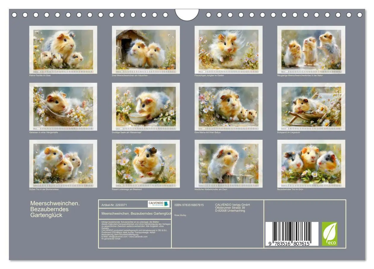 Bild: 9783516807615 | Meerschweinchen. Bezauberndes Gartenglück (Wandkalender 2027 DIN A4...
