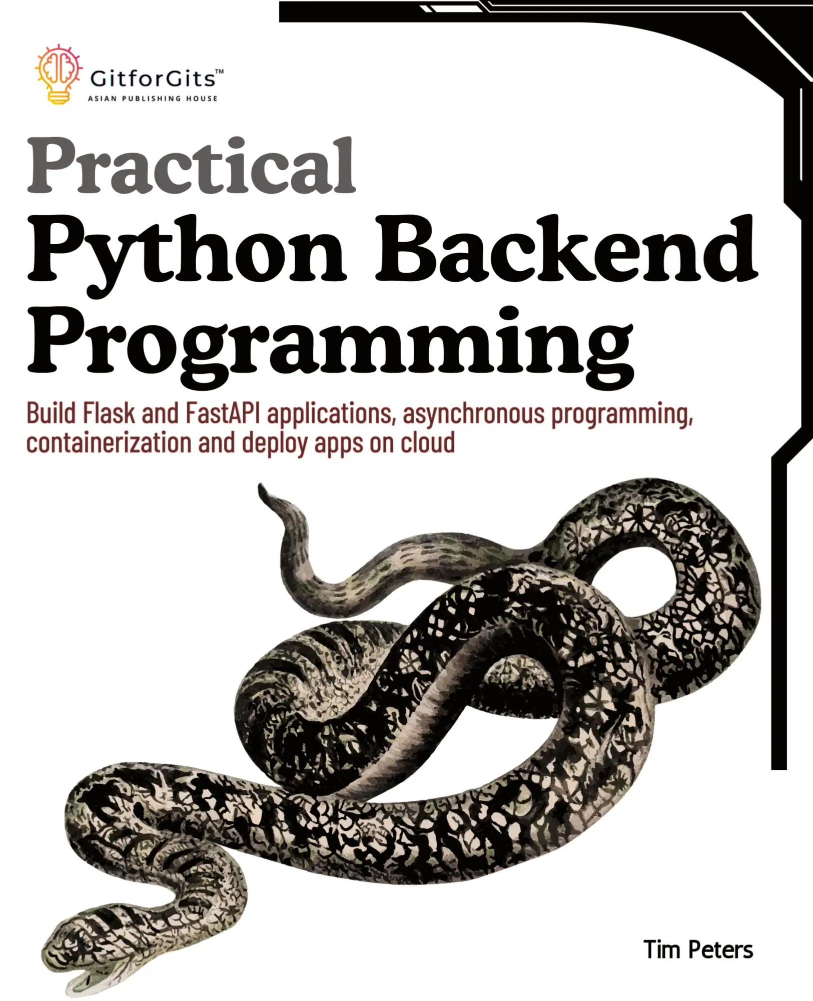 Cover: 9788119177615 | Practical Python Backend Programming | Tim Peters | Taschenbuch | 2024 Cover: 9788119177615 | Practical Python Backend Programming | Tim Peters | Taschenbuch | 2024