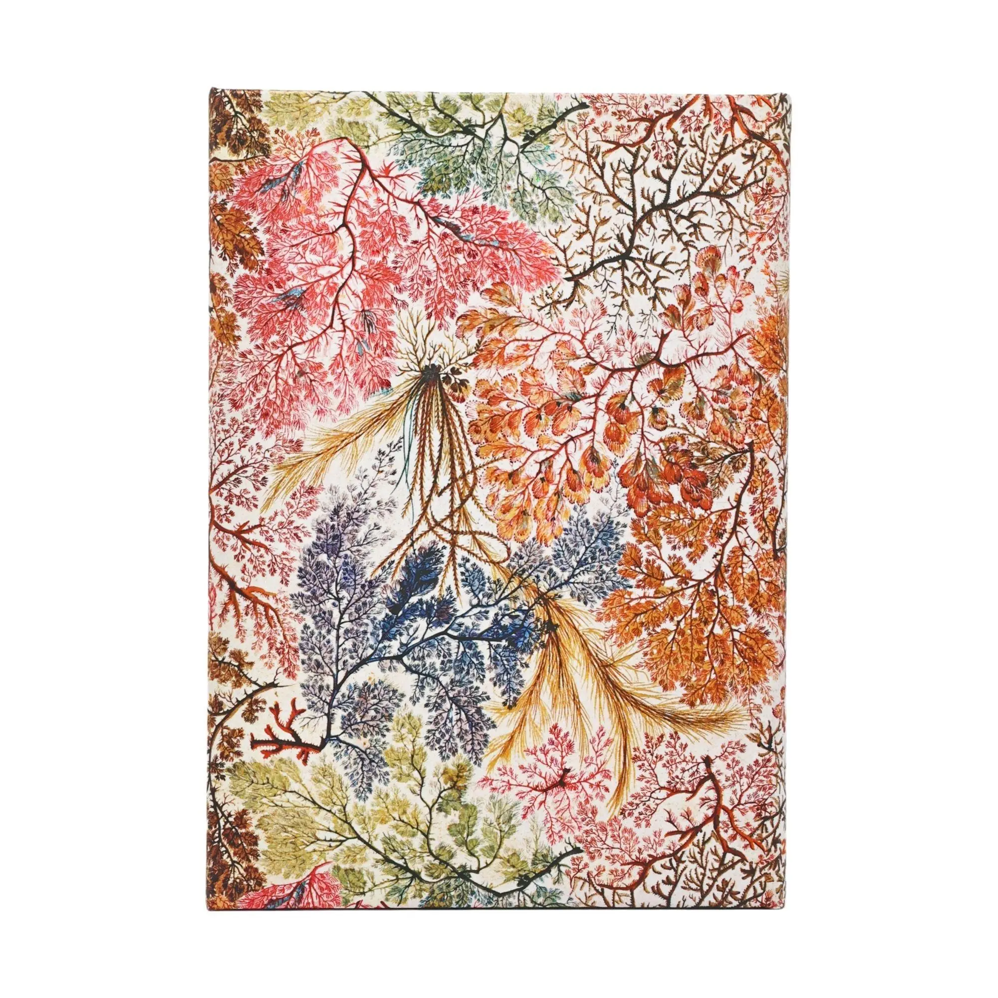 Bild: 9780349717715 | 12-Monatskalender 2027 Anemone Midi Horizontal | Paperblanks | Buch