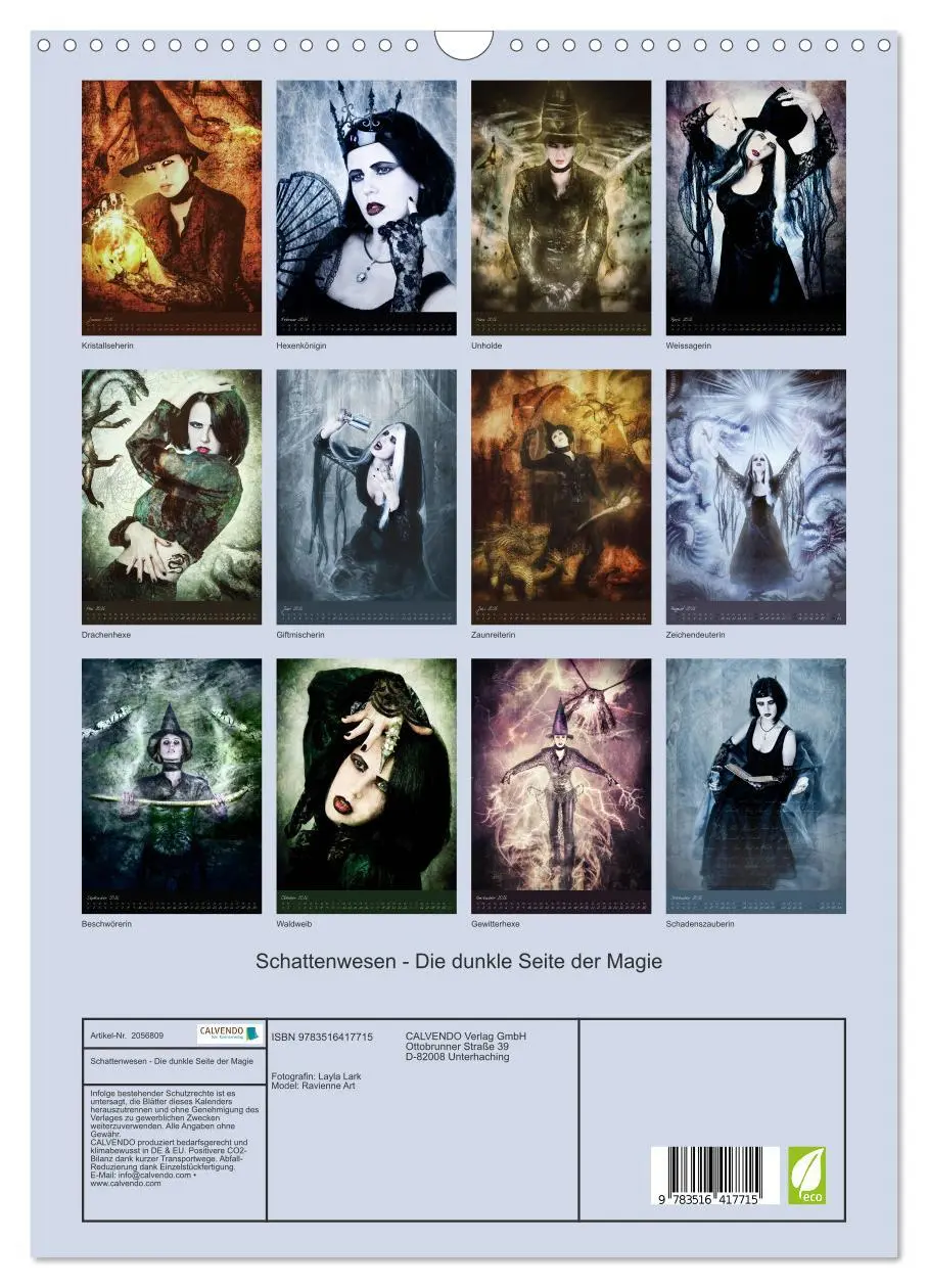 Bild: 9783516417715 | Schattenwesen - Die dunkle Seite der Magie (Wandkalender 2026 DIN...