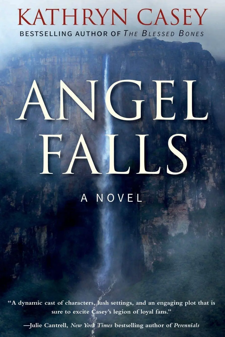 Cover: 9798988247715 | Angel Falls | Kathryn Casey | Taschenbuch | Englisch | 2023