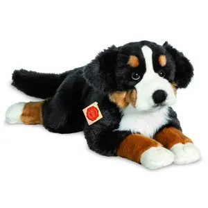 Cover: 4004510927815 | Teddy Hermann 92781 - Berner Sennenhund liegend | 92781 | Deutsch