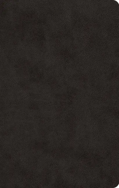 Cover: 9798874907815 | ESV Large Print Value Thinline Bible | Esv Bibles | Buch | Englisch