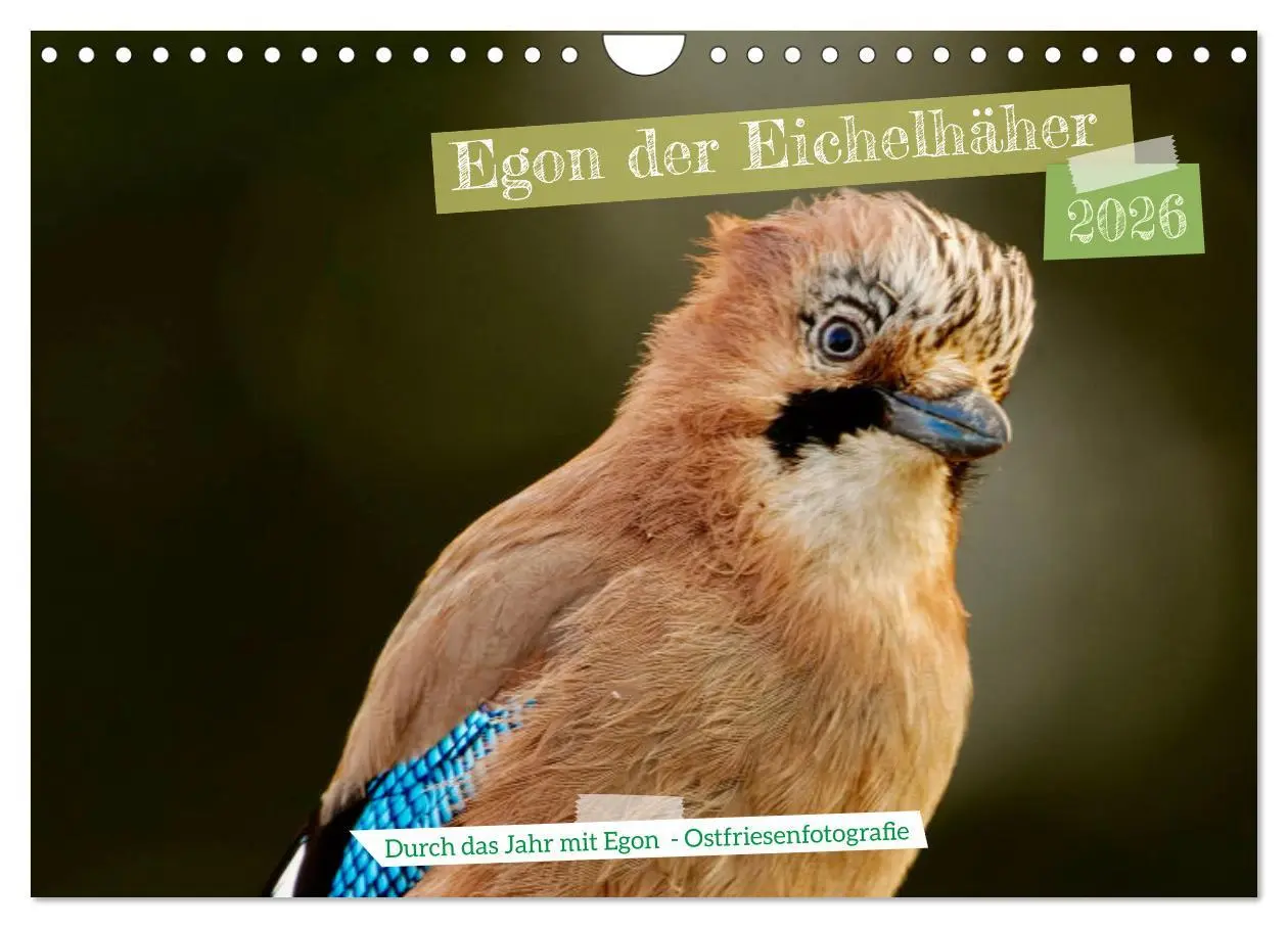 Cover: 9783457547915 | Egon der Eichelhäher - Durch das Jahr mit Egon - von...