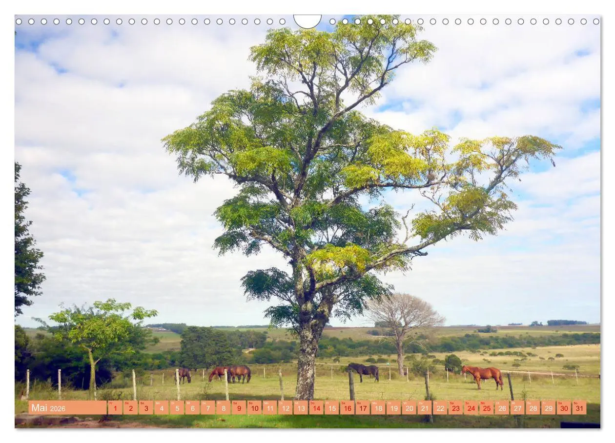 Bild: 9783457787915 | Uruguay - Bienvenido al Río de la Plata (Wandkalender 2026 DIN A3...