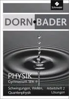 Cover: 9783507107915 | Dorn / Bader Physik SII 2. Lösungen zum Arbeitsheft | Friedrich Dorn
