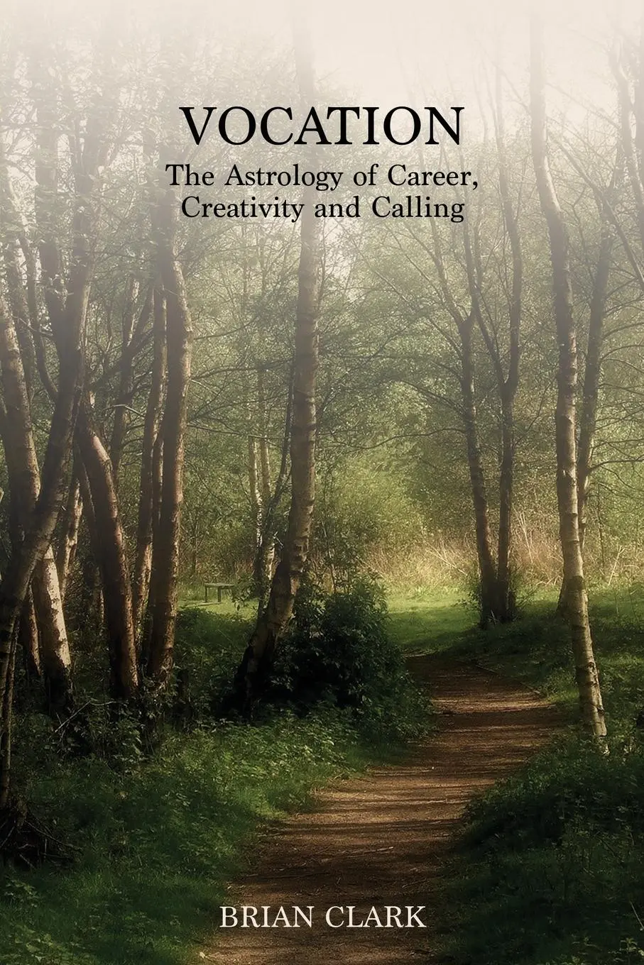 Cover: 9780994488015 | Vocation: The Astrology of Career, Creativity and Calling | Clark