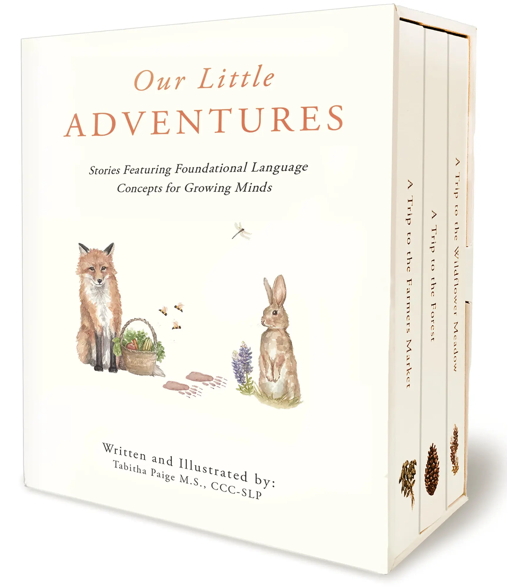 Cover: 9781950968015 | Our Little Adventures | Tabitha Paige | Box | Englisch | 2020