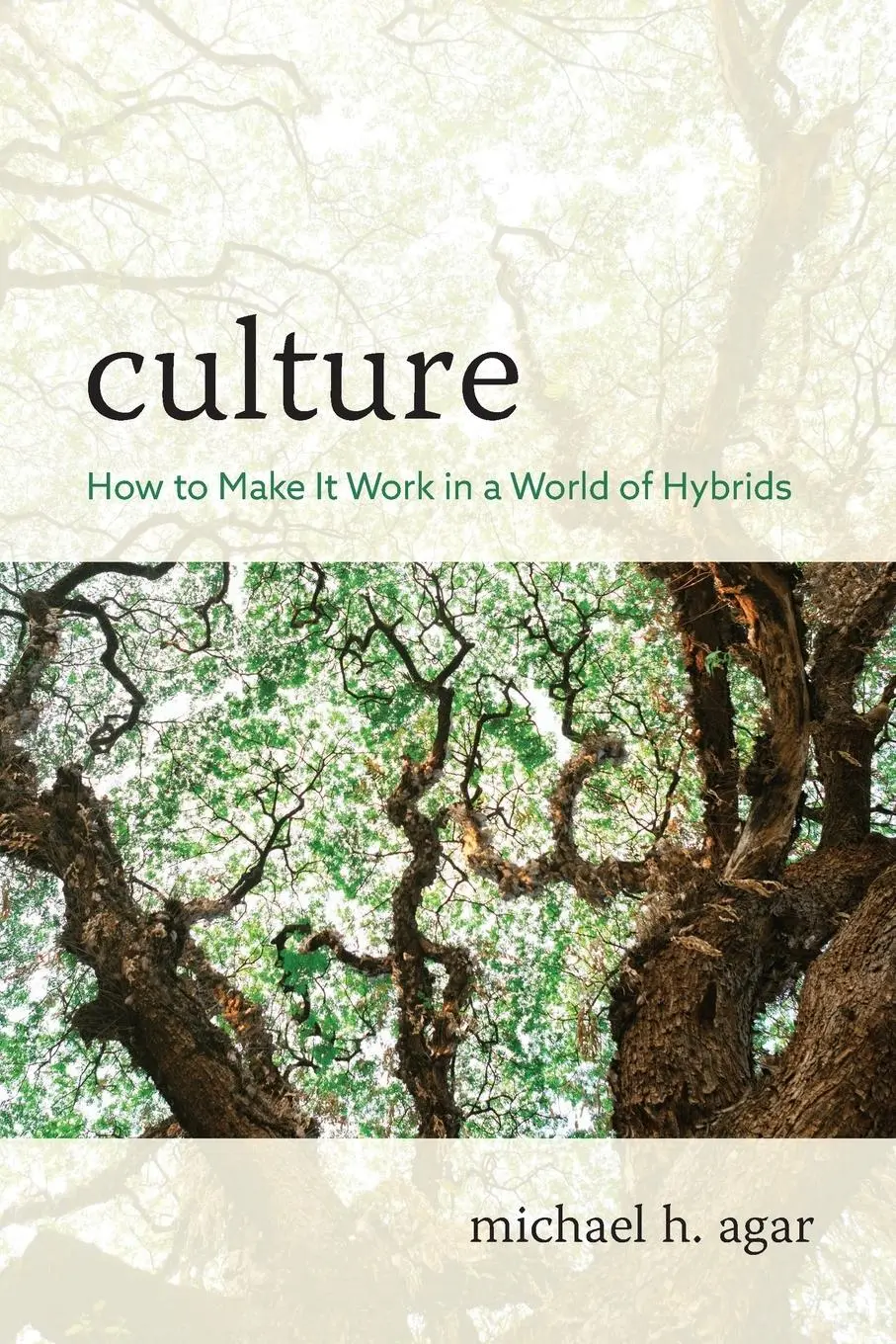Cover: 9781538118115 | Culture | How to Make It Work in a World of Hybrids | Michael H. Agar