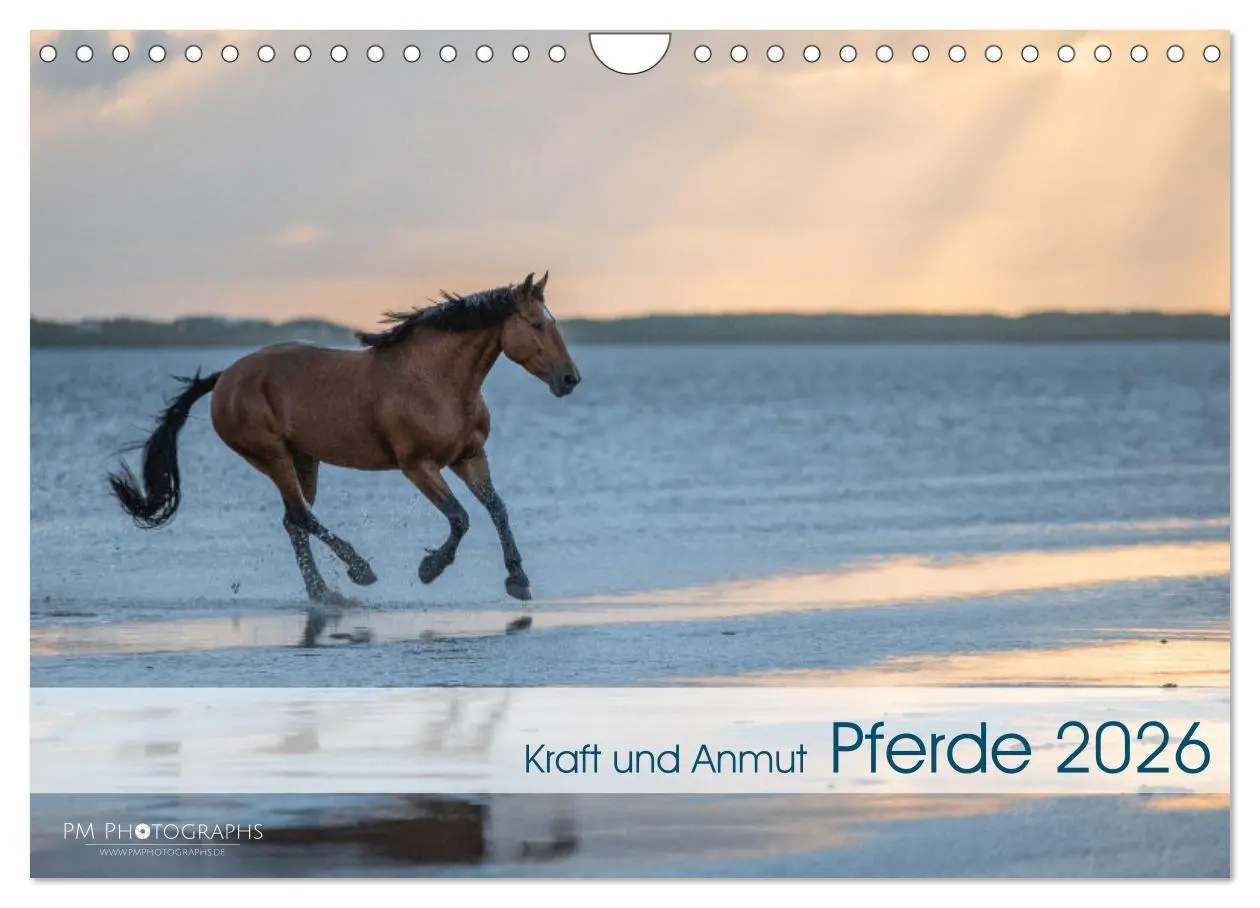 Cover: 9783457668115 | Pferde 2026 Kraft und Anmut (Wandkalender 2026 DIN A4 quer),...