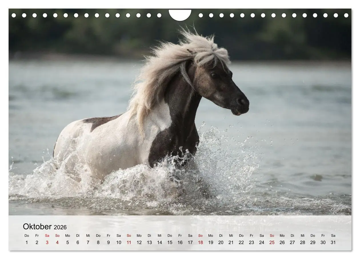 Bild: 9783457668115 | Pferde 2026 Kraft und Anmut (Wandkalender 2026 DIN A4 quer),...