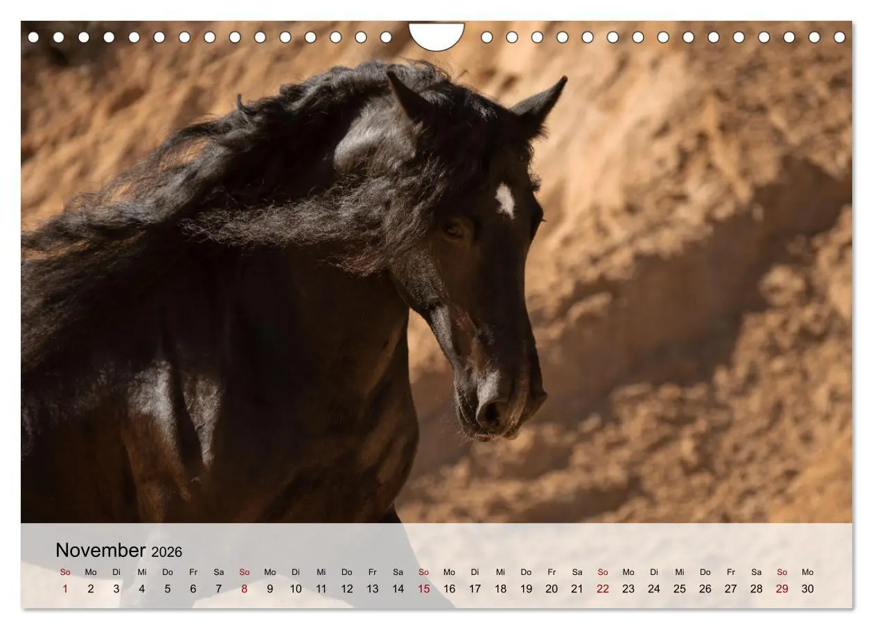 Bild: 9783457668115 | Pferde 2026 Kraft und Anmut (Wandkalender 2026 DIN A4 quer),...