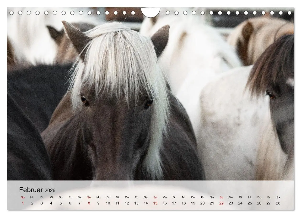 Bild: 9783457668115 | Pferde 2026 Kraft und Anmut (Wandkalender 2026 DIN A4 quer),...
