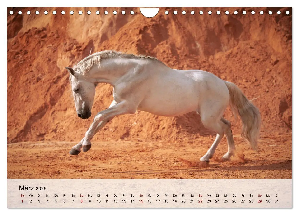 Bild: 9783457668115 | Pferde 2026 Kraft und Anmut (Wandkalender 2026 DIN A4 quer),...