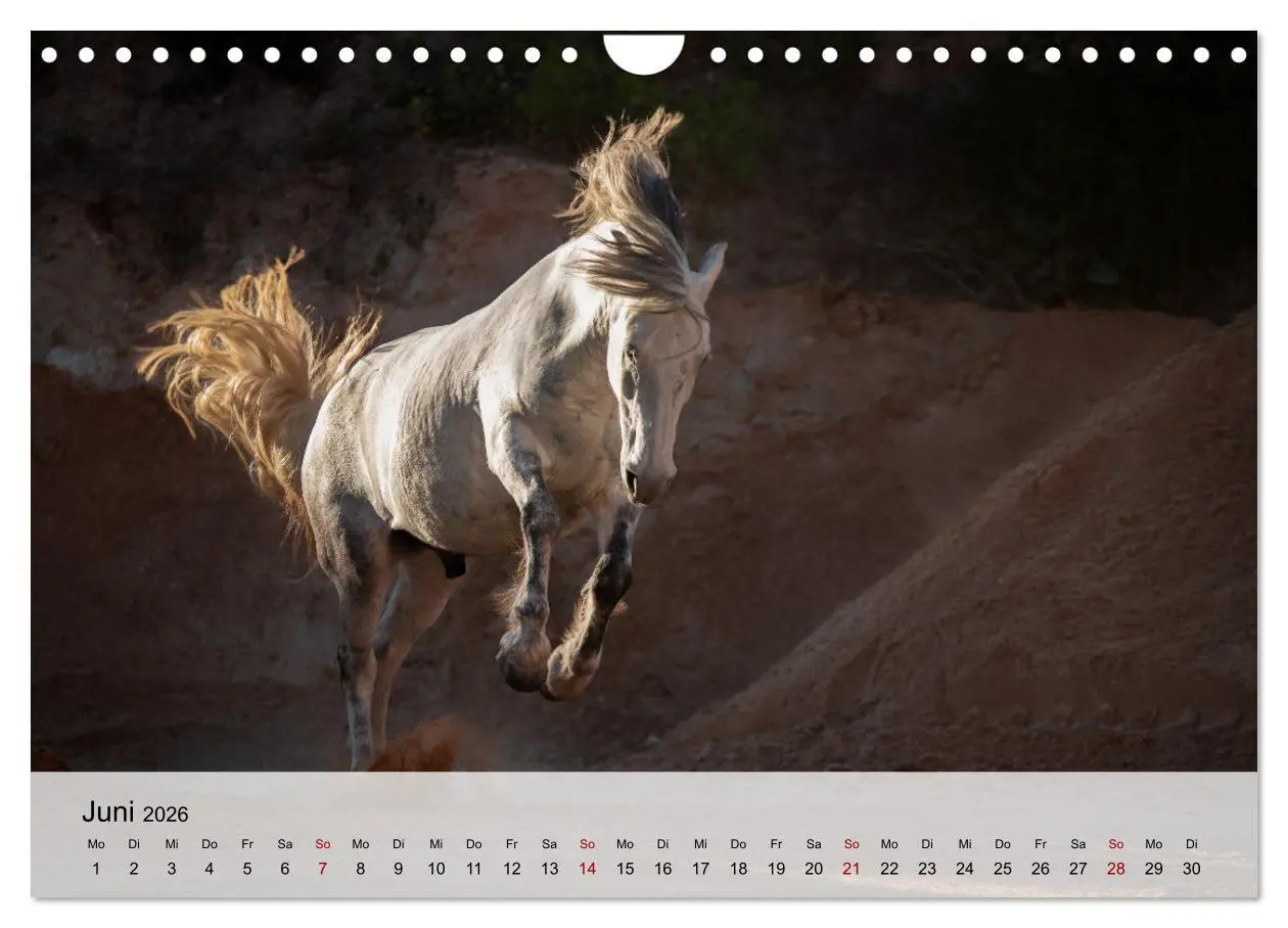 Bild: 9783457668115 | Pferde 2026 Kraft und Anmut (Wandkalender 2026 DIN A4 quer),...