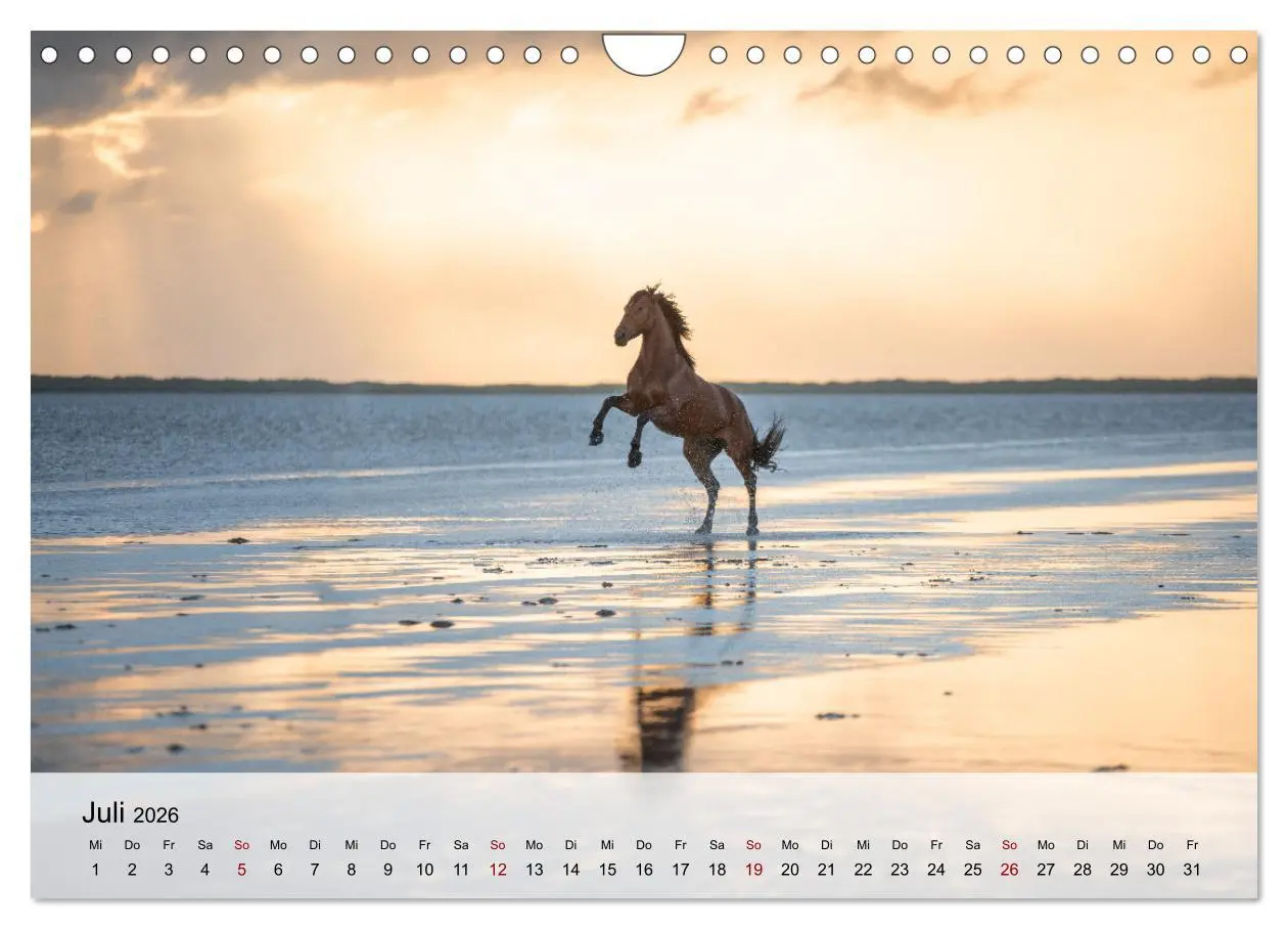 Bild: 9783457668115 | Pferde 2026 Kraft und Anmut (Wandkalender 2026 DIN A4 quer),...