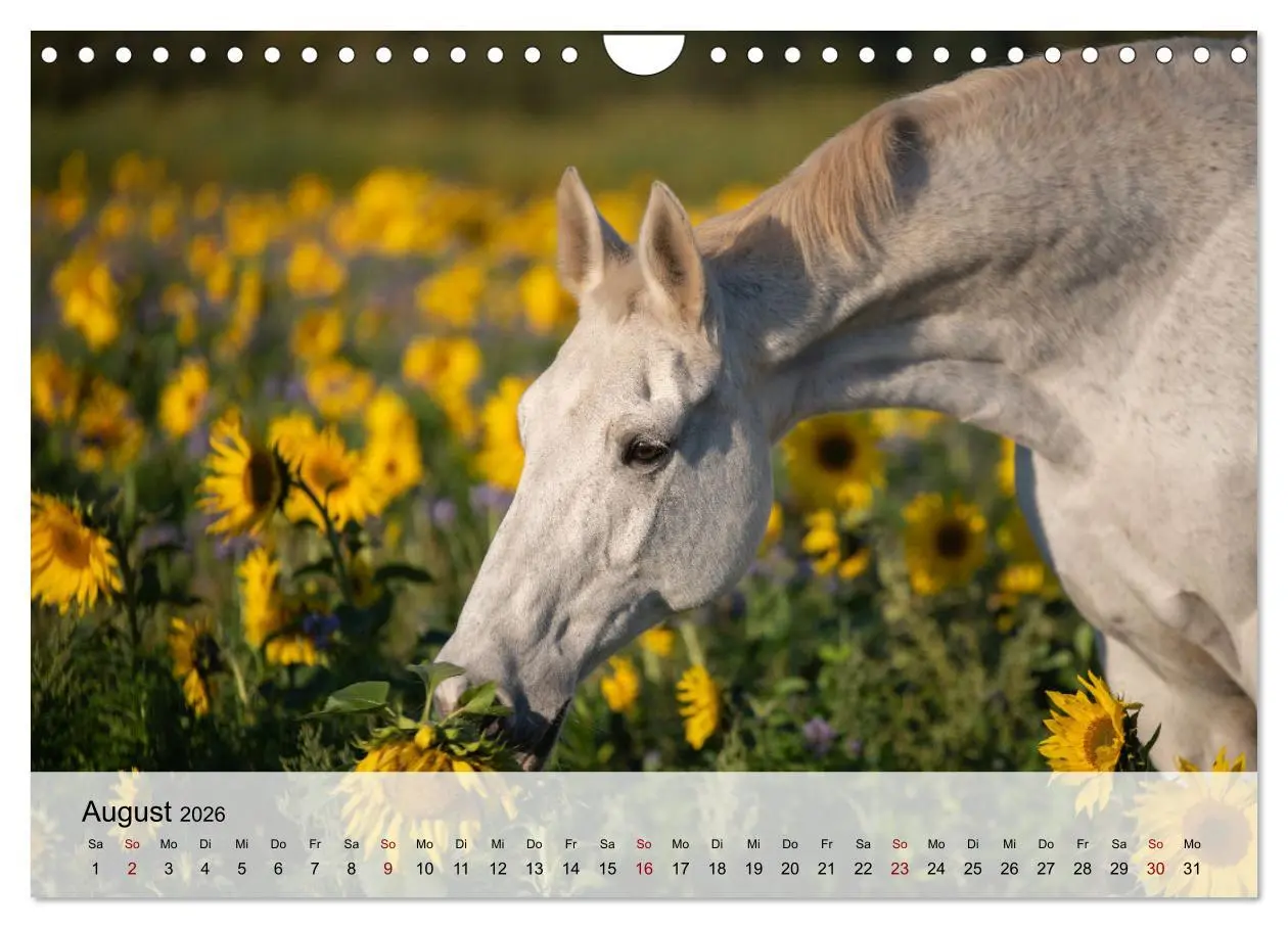 Bild: 9783457668115 | Pferde 2026 Kraft und Anmut (Wandkalender 2026 DIN A4 quer),...