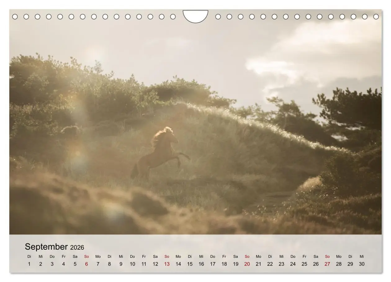 Bild: 9783457668115 | Pferde 2026 Kraft und Anmut (Wandkalender 2026 DIN A4 quer),...