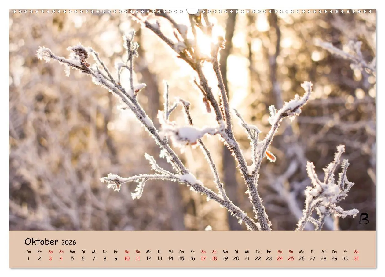 Bild: 9783457738115 | Entdecke den Yukon (Wandkalender 2026 DIN A2 quer), CALVENDO...