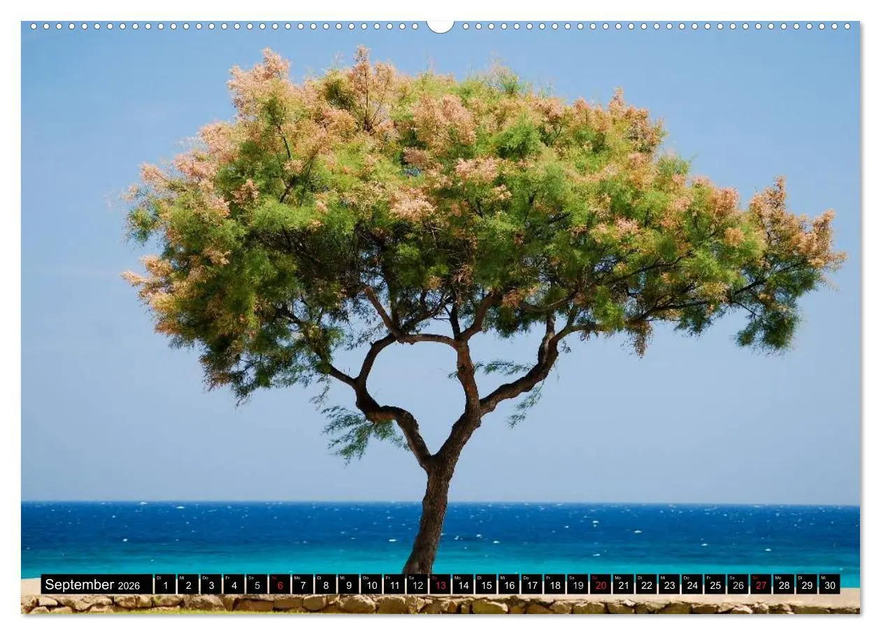Bild: 9783516208115 | MALLORCA zum VERLIEBEN (Wandkalender 2026 DIN A2 quer), CALVENDO...