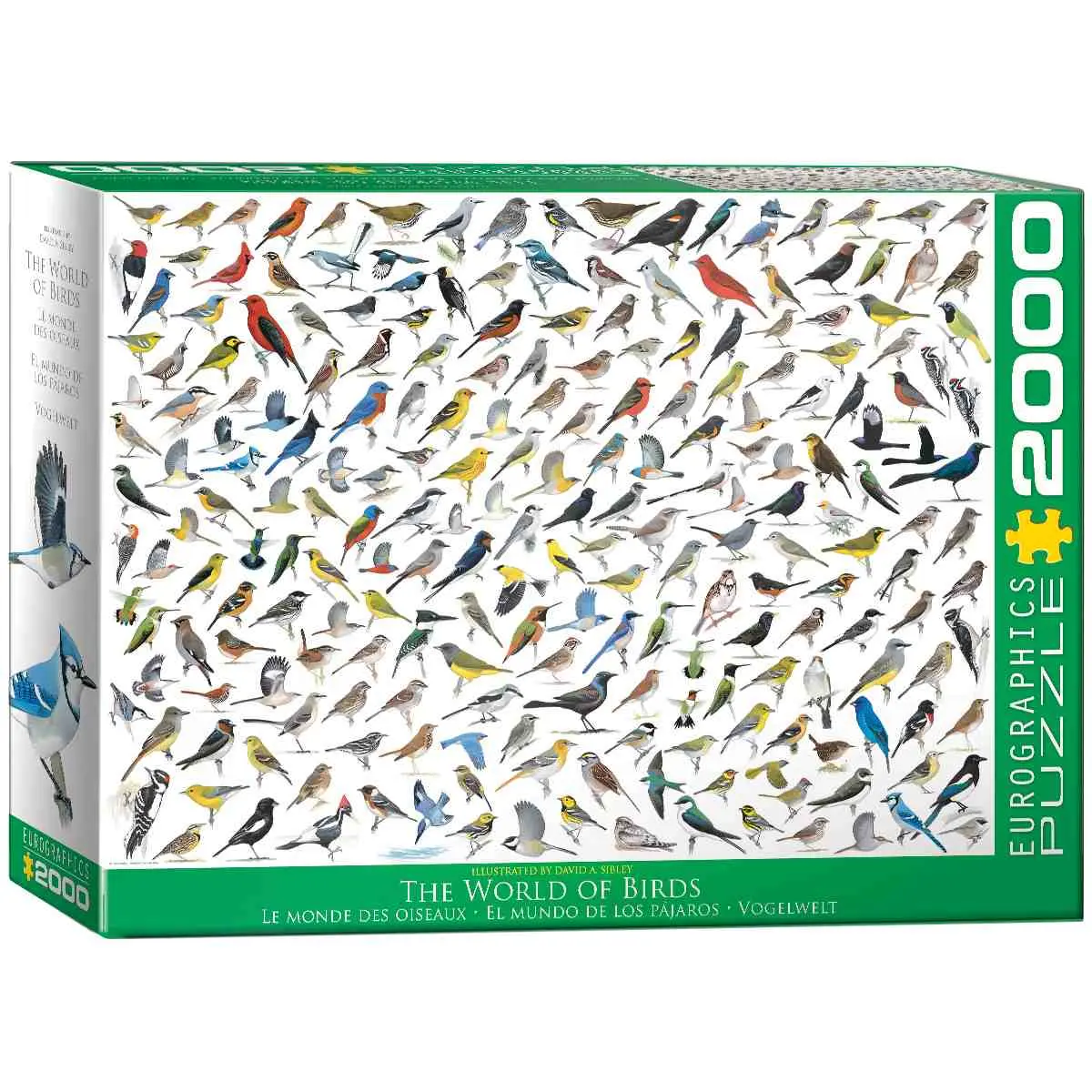 Cover: 628136208215 | The World of Birds | Puzzle | Deutsch | 2021 | Eurographics s.r.o