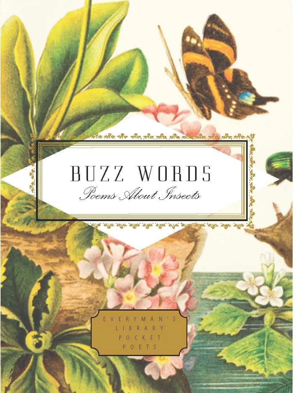 Cover: 9781841598215 | Buzz Words | Poems About Insects | Howard Schechter (u. a.) | Buch