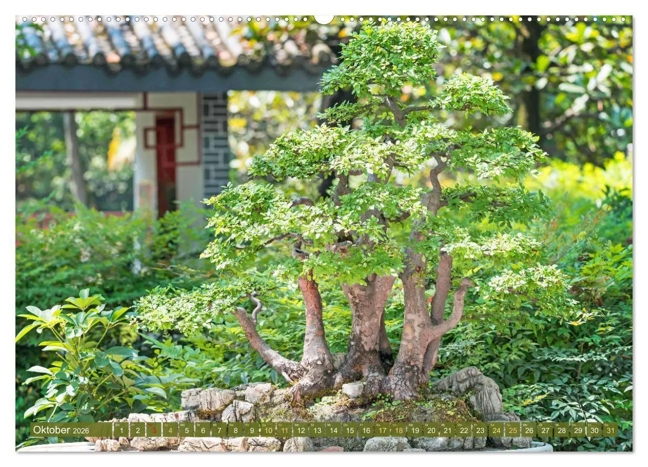 Bild: 9783457348215 | Gartenkunst aus Japan: Bonsai (Wandkalender 2026 DIN A2 quer),...