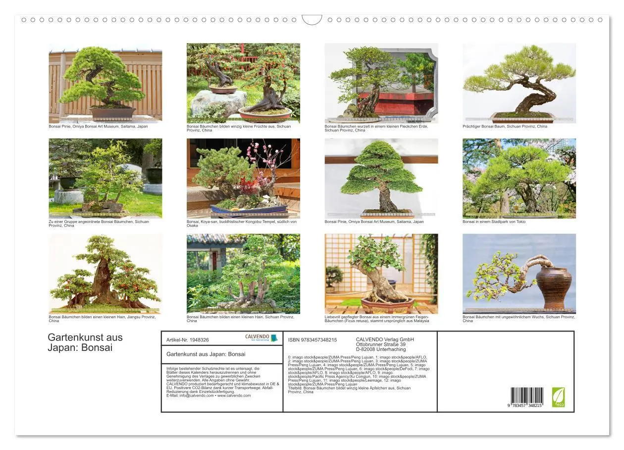 Bild: 9783457348215 | Gartenkunst aus Japan: Bonsai (Wandkalender 2026 DIN A2 quer),...