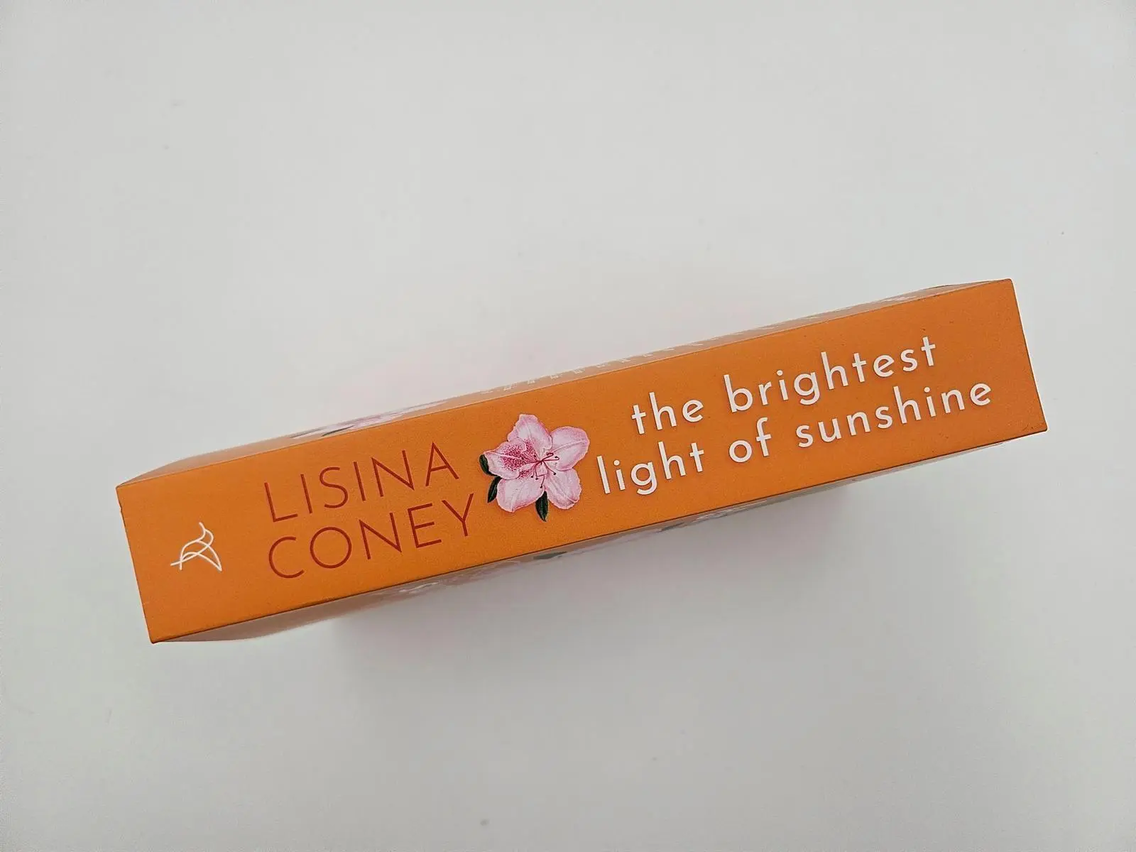 Bild: 9783492068215 | The Brightest Light of Sunshine | Lisina Coney | Taschenbuch | 448 S.