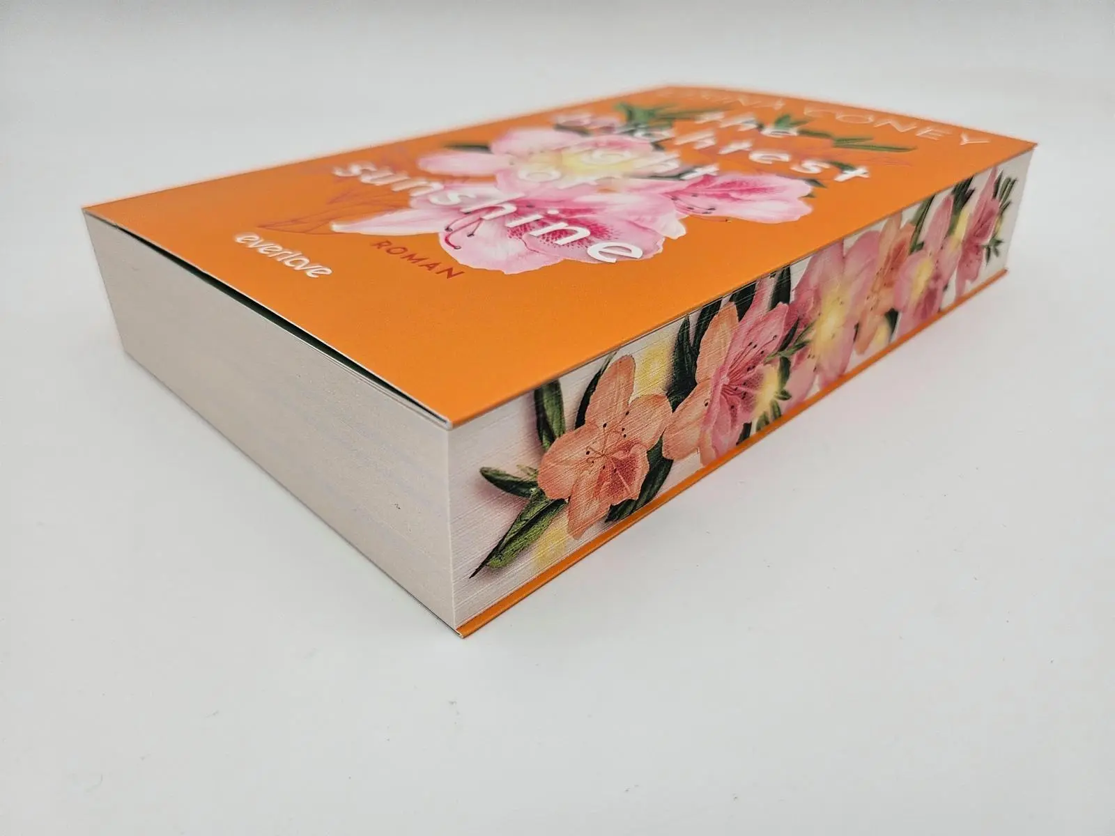 Bild: 9783492068215 | The Brightest Light of Sunshine | Lisina Coney | Taschenbuch | 448 S.