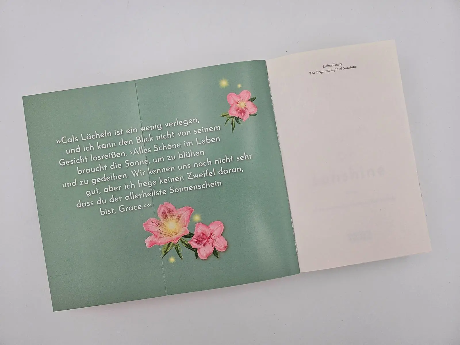 Bild: 9783492068215 | The Brightest Light of Sunshine | Lisina Coney | Taschenbuch | 448 S.