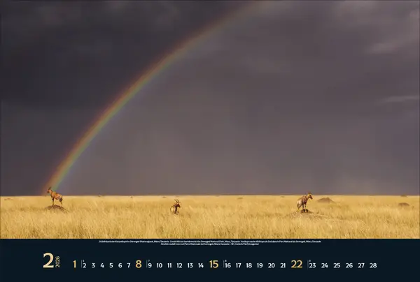 Bild: 9783731888215 | Wilde Tiere - weite Landschaft 2026 | Verlag Korsch | Kalender | 14 S.