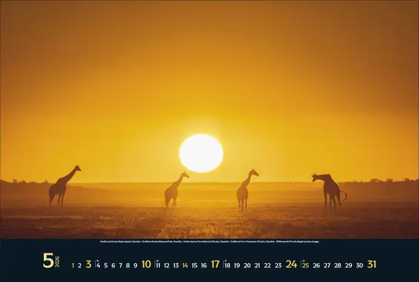 Bild: 9783731888215 | Wilde Tiere - weite Landschaft 2026 | Verlag Korsch | Kalender | 14 S.