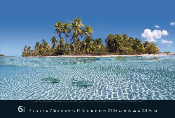 Bild: 9783731888215 | Wilde Tiere - weite Landschaft 2026 | Verlag Korsch | Kalender | 14 S.