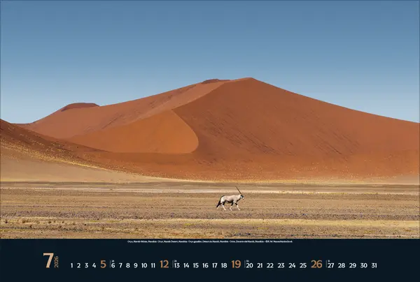 Bild: 9783731888215 | Wilde Tiere - weite Landschaft 2026 | Verlag Korsch | Kalender | 14 S.