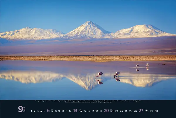Bild: 9783731888215 | Wilde Tiere - weite Landschaft 2026 | Verlag Korsch | Kalender | 14 S.