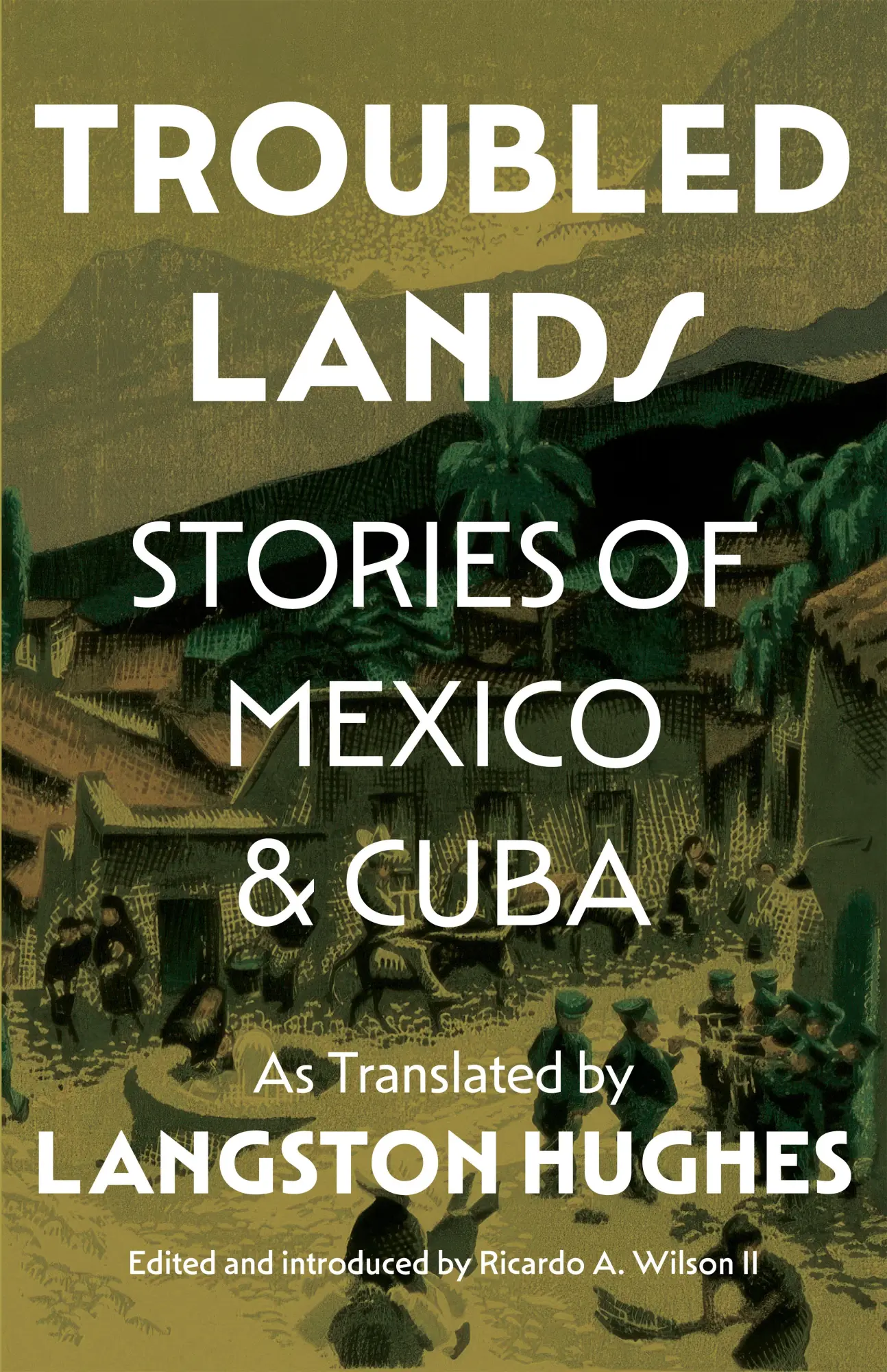 Cover: 9780691268415 | Troubled Lands | Ricardo Wilson Ii | Buch | Einband - fest (Hardcover)