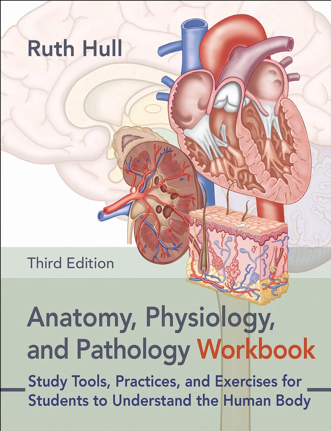 Cover: 9781913088415 | Anatomy, Physiology, and Pathology Workbook | Ruth Hull | Taschenbuch