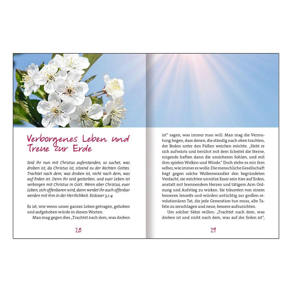 Bild: 9783746268415 | Von Gottes Liebe leben wir | Lesebuch für die Passions- und Osterzeit