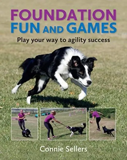 Cover: 9781910488515 | Foundation Fun And Games | Play Your Way To Agility Success | Sellers