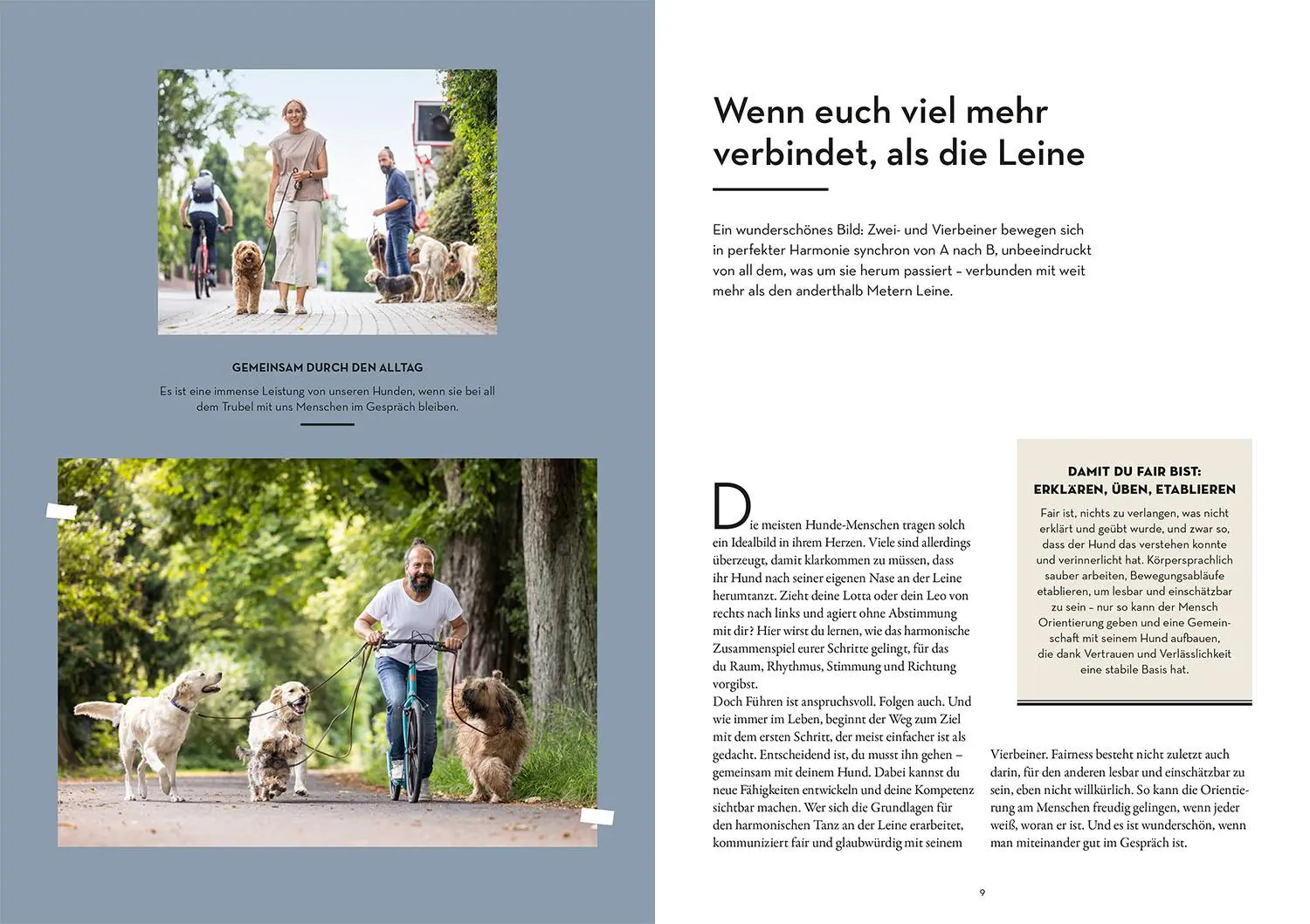 Bild: 9783440178515 | Leinenführigkeit | Der orientierte Hund | Sami El Ayachi (u. a.)