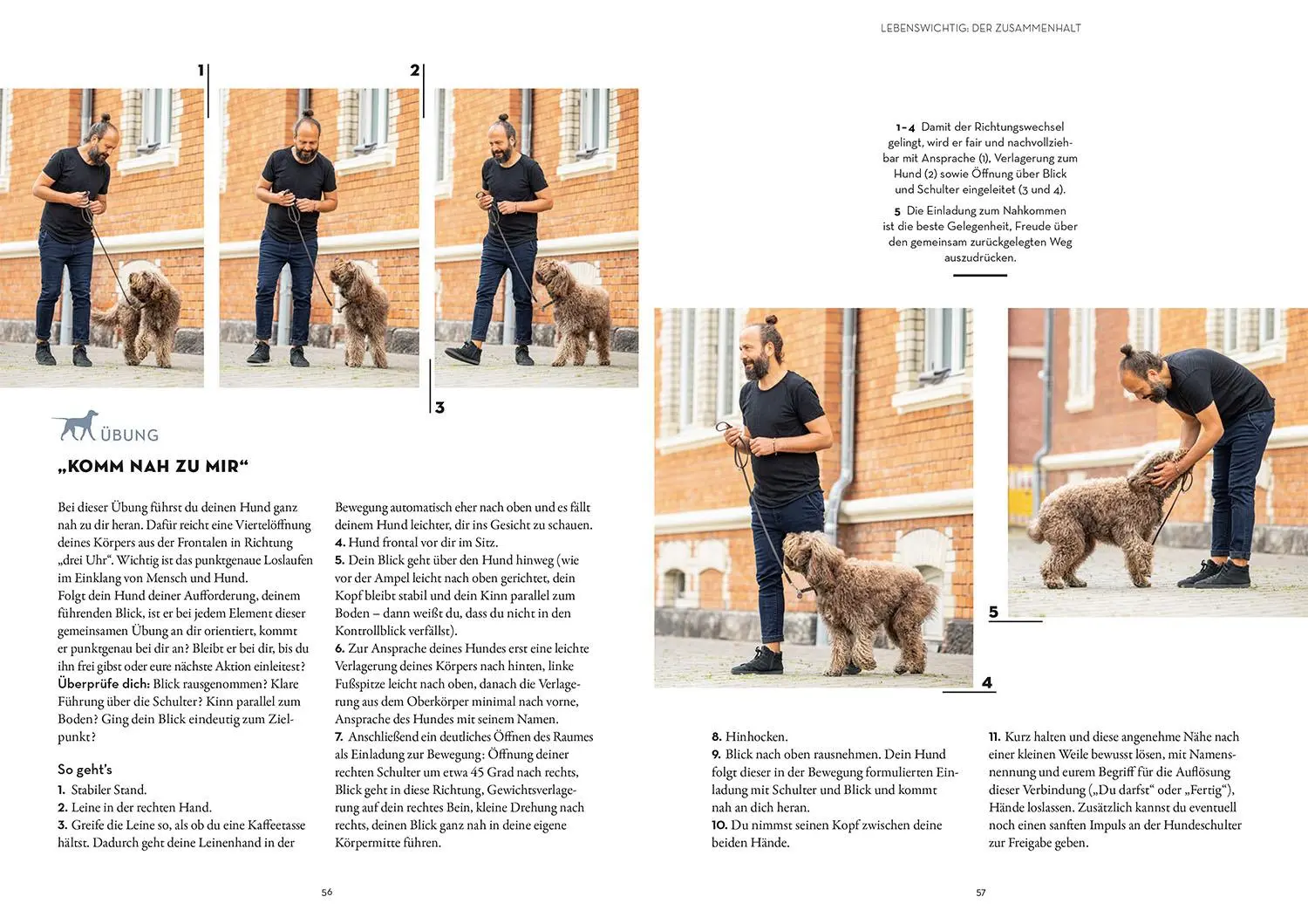 Bild: 9783440178515 | Leinenführigkeit | Der orientierte Hund | Sami El Ayachi (u. a.)