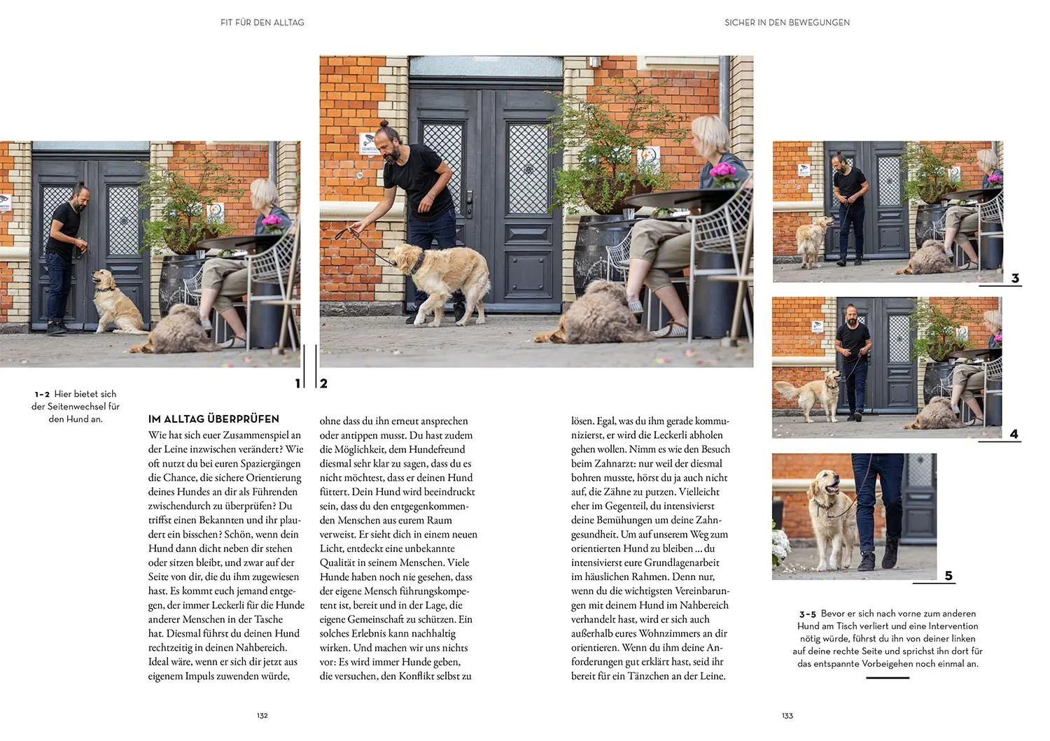 Bild: 9783440178515 | Leinenführigkeit | Der orientierte Hund | Sami El Ayachi (u. a.)