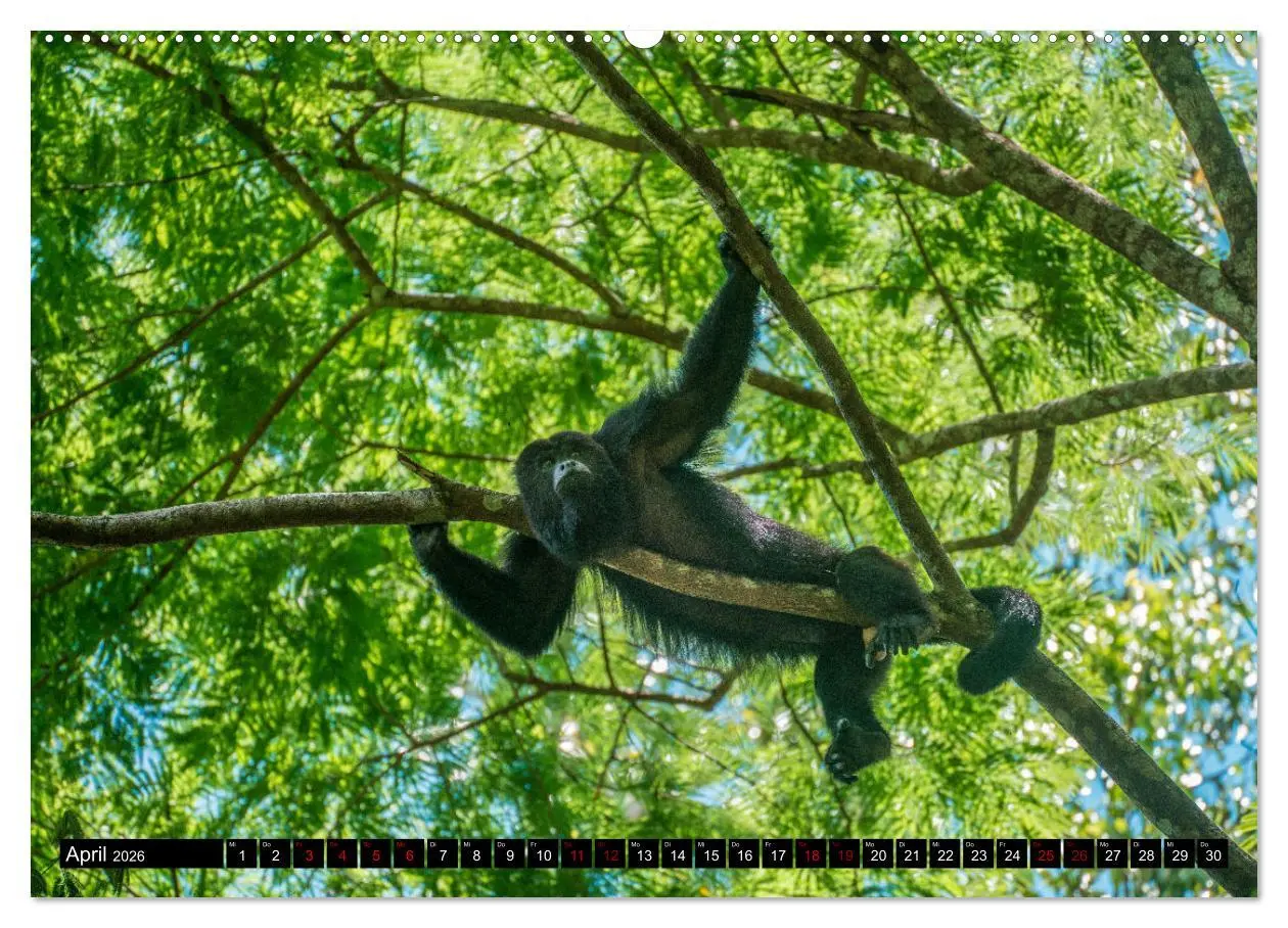 Bild: 9783457558515 | Spektakuläres Guatemala (hochwertiger Premium Wandkalender 2026 DIN...