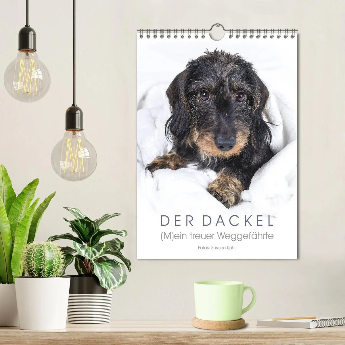 Bild: 9783516408515 | Der Dackel (M)ein treuer Weggefährte (Wandkalender 2026 DIN A4...
