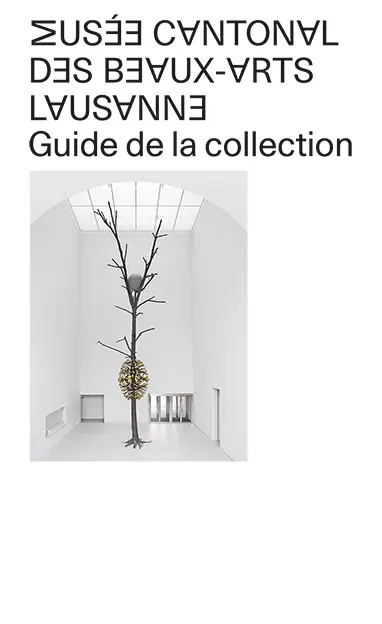 Cover: 9783858818515 | Musée cantonal des Beaux-Arts de Lausanne | Guide de la collection