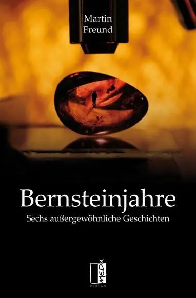 Cover: 9783944948515 | Bernsteinjahre | Sechs außergewöhnliche Geschichten | Martin Freund
