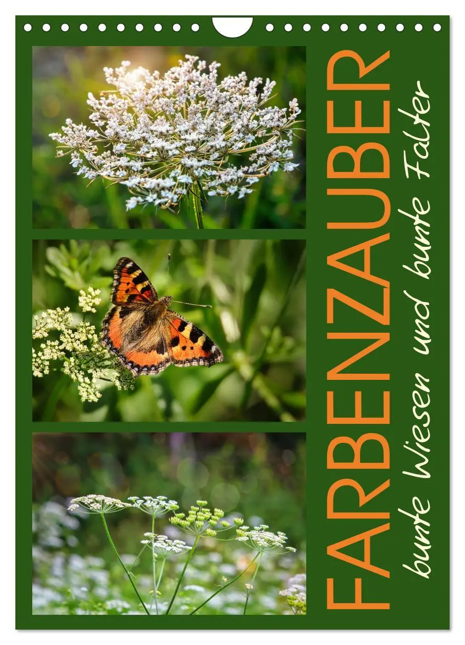 Cover: 9783516258615 | Farbenzauber, bunte Wiesen und bunte Falter (Wandkalender 2026 DIN...